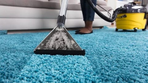 Area Rug Cleaning