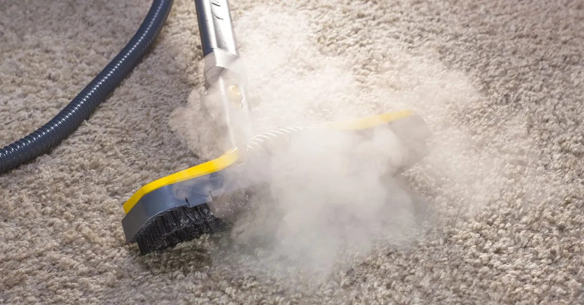 Hot Water Extraction