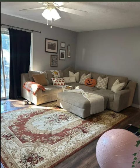 Stain Removal